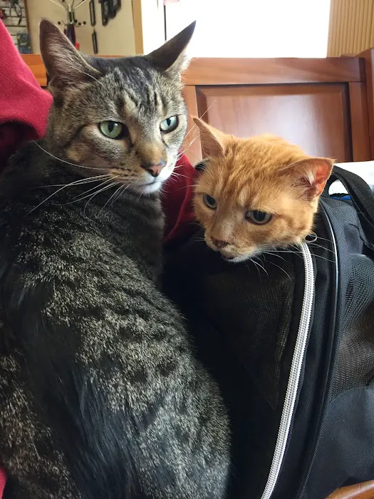Spring Mills Veterinary Hospital Picture 2