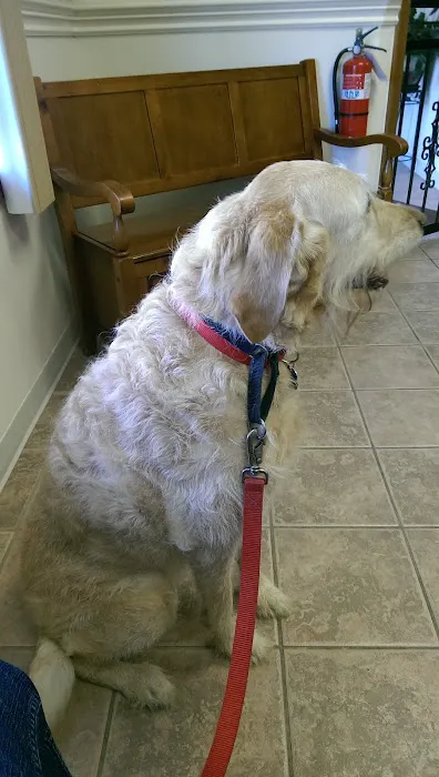 Spring Mills Veterinary Hospital Picture 9