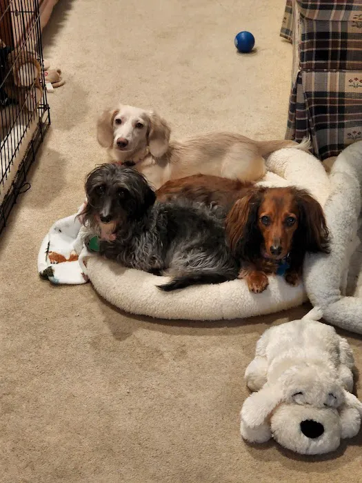 Spring Mills Veterinary Hospital Picture 6