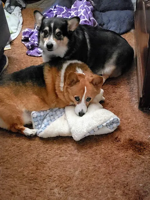 Ark Animal Clinic Picture 3
