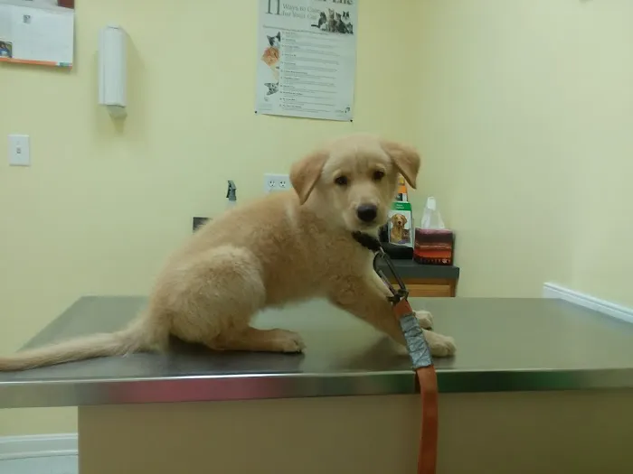 Ark Animal Clinic Picture 7