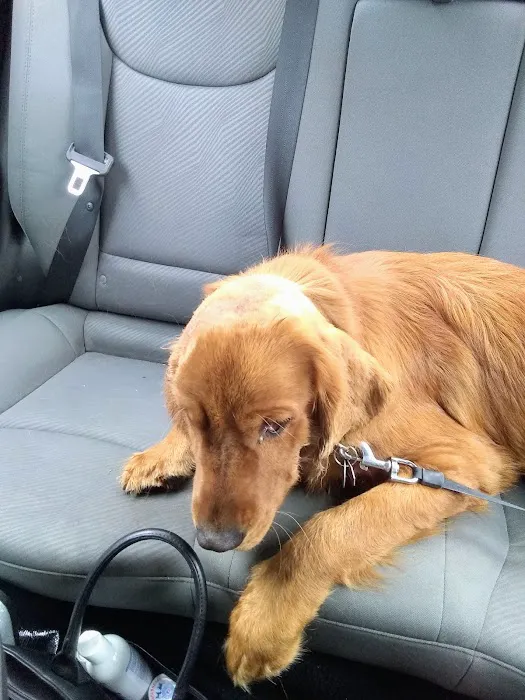Ark Animal Clinic Picture 10