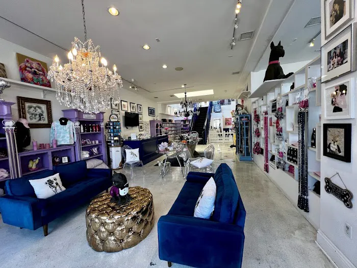 Vanderpump Pets Picture 1