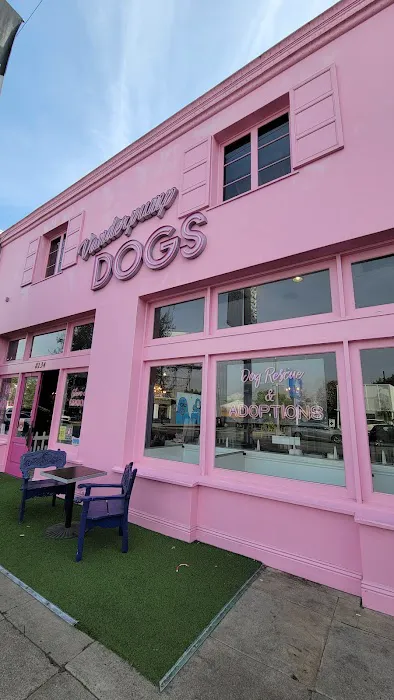 Vanderpump Pets Picture 6