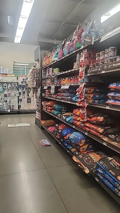 Petco Picture 2