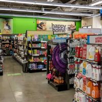Petco ico