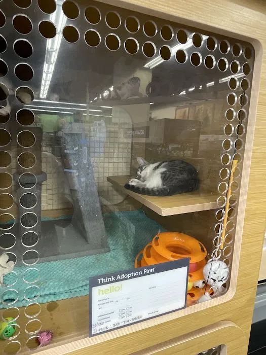 Petco Picture 5