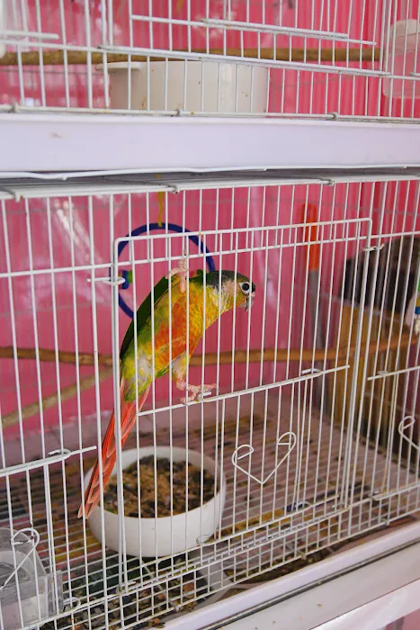 Beverly Pets Picture 5