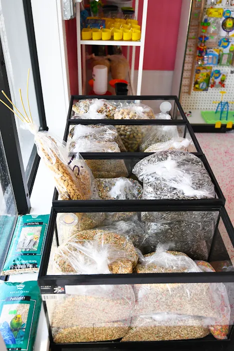 Beverly Pets Picture 2
