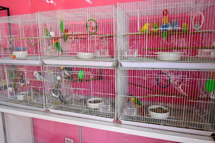 Beverly Pets Picture 10