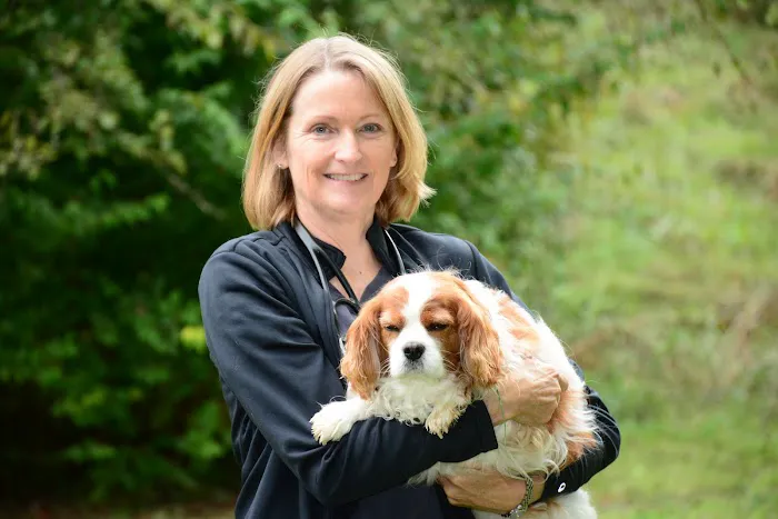Roseville Veterinary Clinic Picture 4