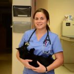 Roseville Veterinary Clinic