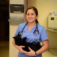 Roseville Veterinary Clinic ico
