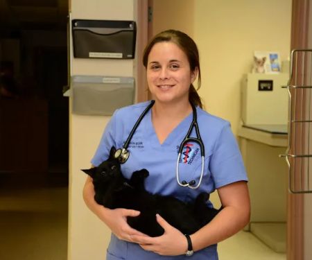 Roseville Veterinary Clinic