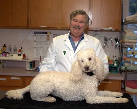 Roseville Veterinary Clinic Picture 3