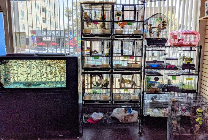 Allan's Pet Center - West LA Picture 5