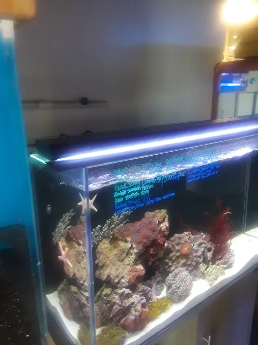 7 Seas Tropical Fish Picture 5