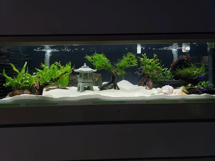 7 Seas Tropical Fish Picture 2