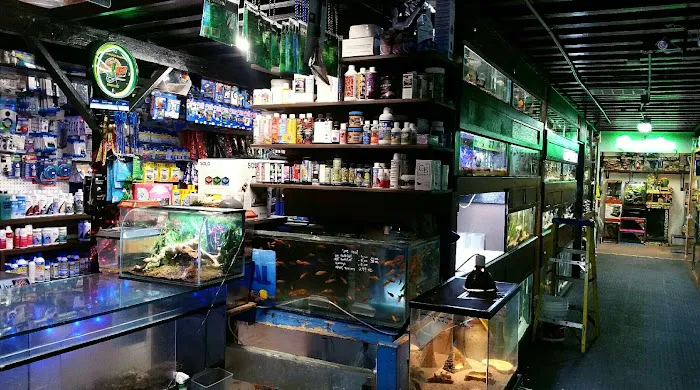 7 Seas Tropical Fish Picture 9