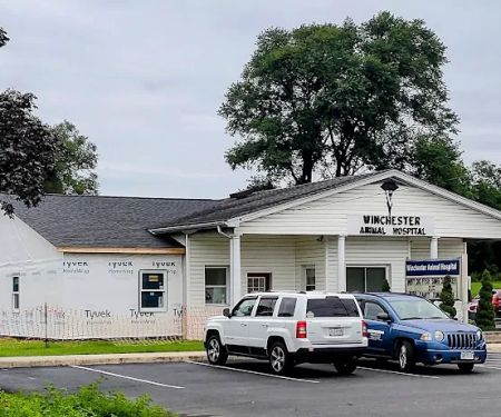 Winchester Animal Hospital