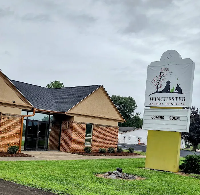 Winchester Animal Hospital Picture 2
