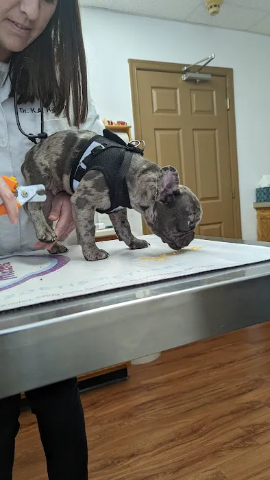 Winchester Animal Hospital Picture 5