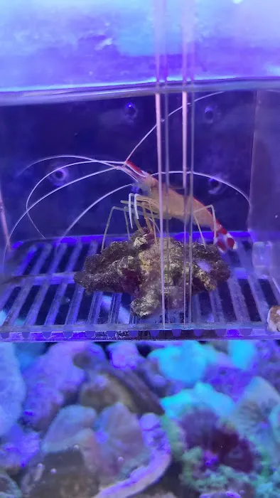 Yo's Aquarium Picture 3