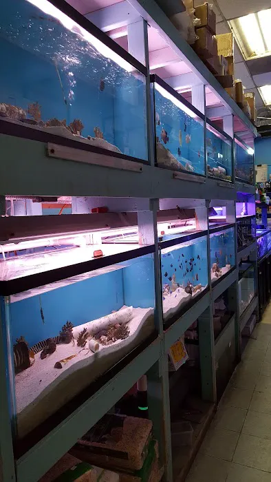 Yo's Aquarium Picture 5