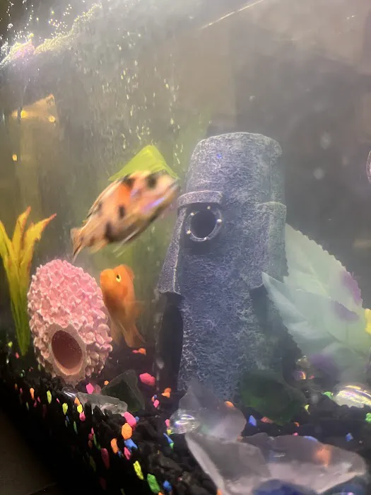 Yo's Aquarium Picture 1