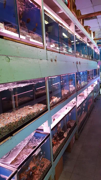 Yo's Aquarium Picture 8