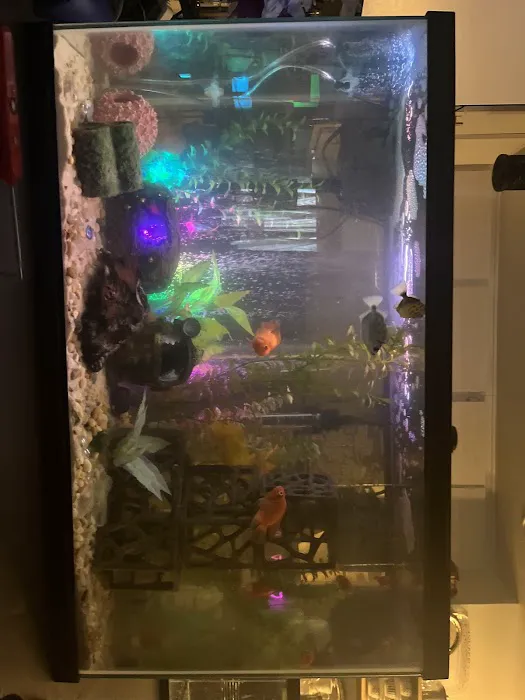 Yo's Aquarium Picture 2