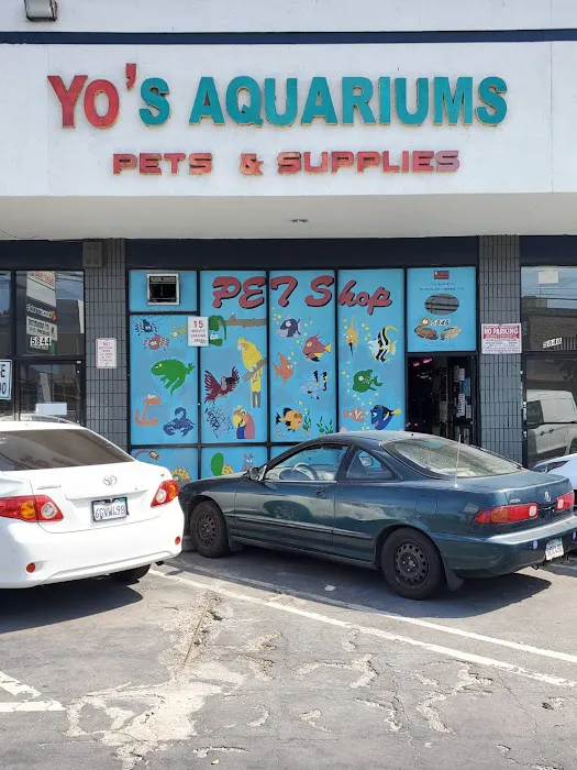Yo's Aquarium Picture 7