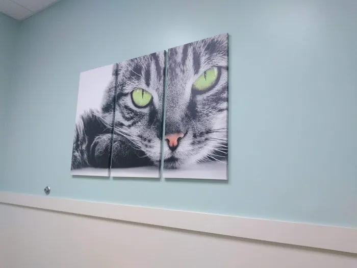 Valley Veterinary Emergency Hospital and Referral Center Picture 10