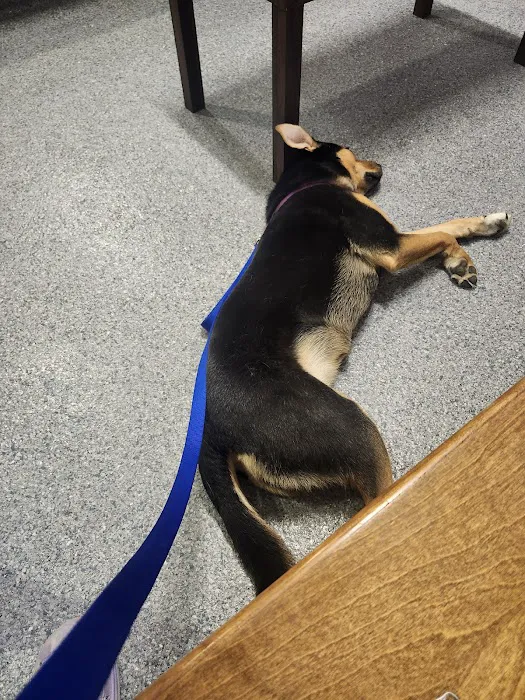 Valley Veterinary Emergency Hospital and Referral Center Picture 2