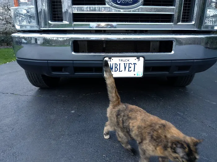 NoVa Mobile Vet Picture 9