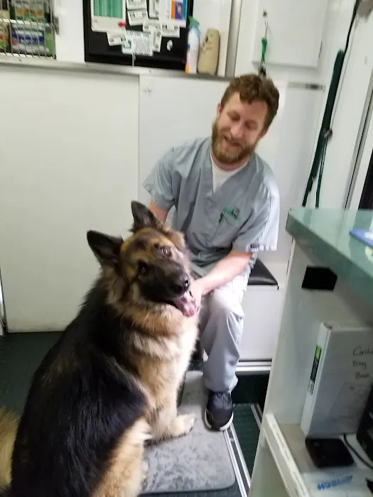 NoVa Mobile Vet Picture 7