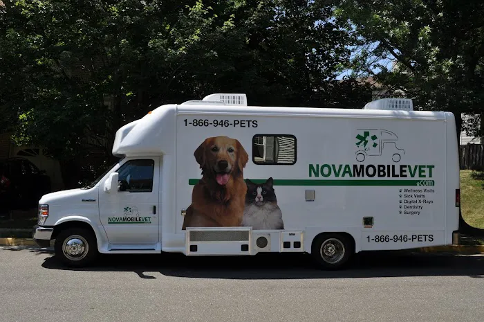 NoVa Mobile Vet Picture 4