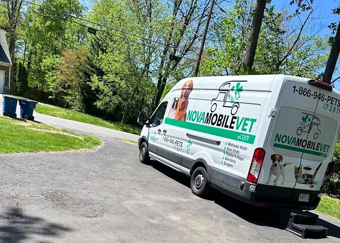 NoVa Mobile Vet Picture 5