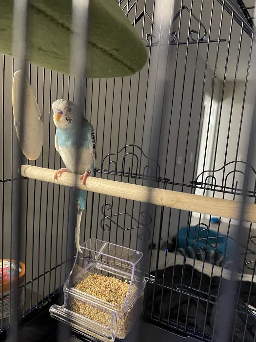 Petco Picture 10