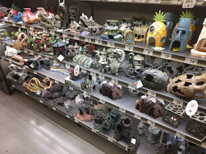 Petco Picture 6