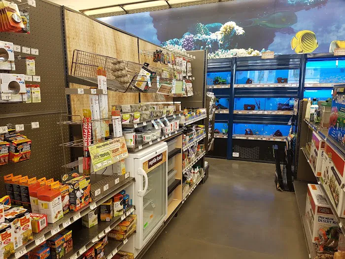 Petco Picture 2
