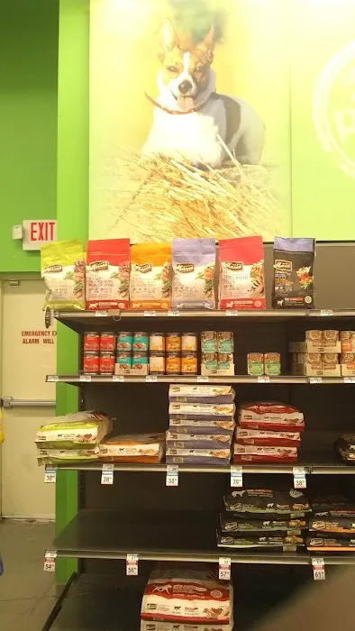 Petco Picture 4