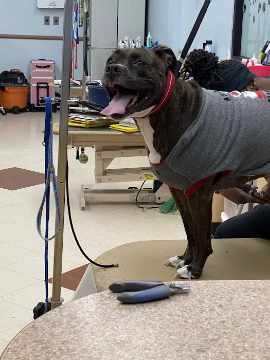 Banfield Pet Hospital Picture 5