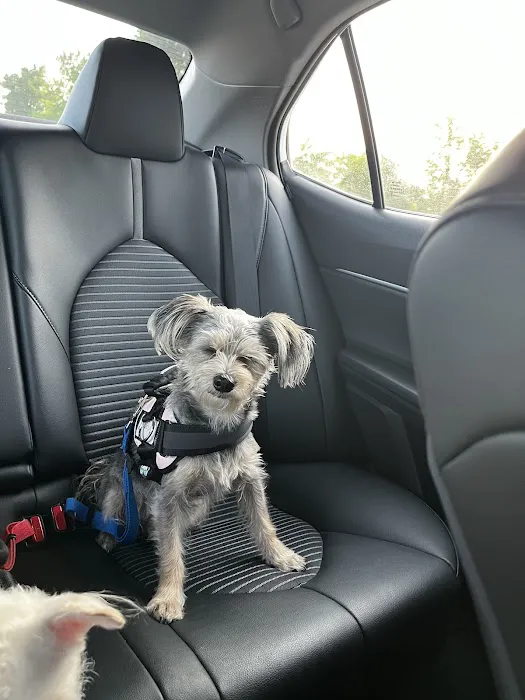 Joyride Harness Picture 5