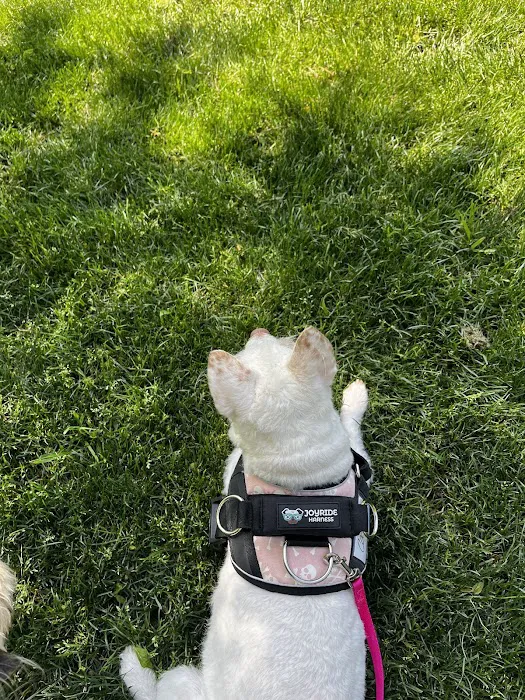 Joyride Harness Picture 4