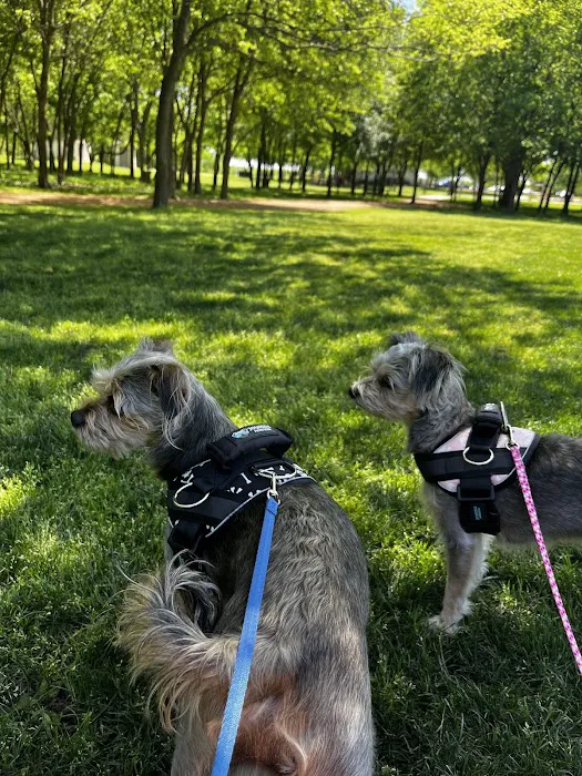 Joyride Harness Picture 7