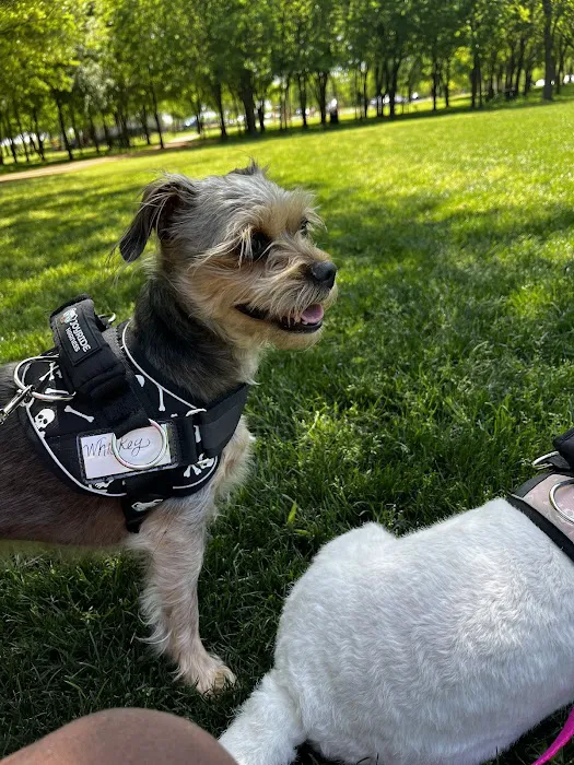 Joyride Harness Picture 2