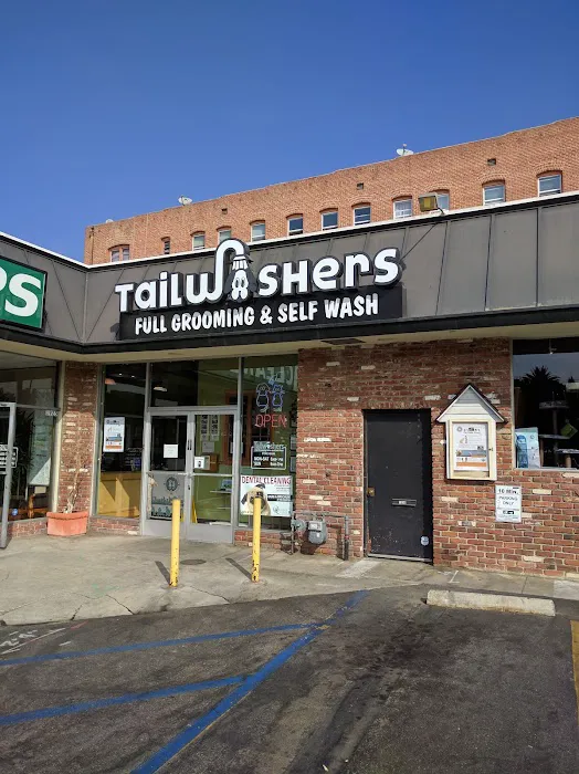 Tailwaggers & Tailwashers Hollywood Picture 6