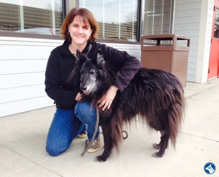 Bush Veterinary Neurology Service (BVNS) - Springfield Picture 4