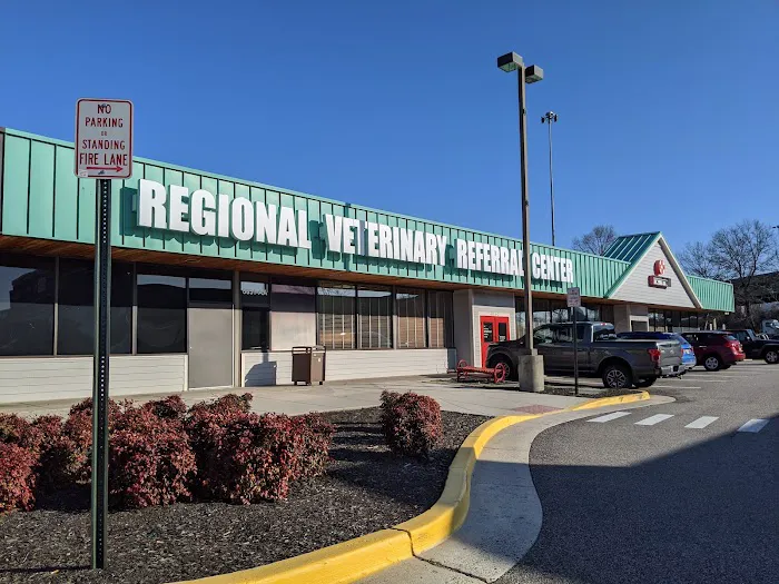 Bush Veterinary Neurology Service (BVNS) - Springfield Picture 8